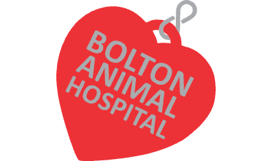 Bolton Animal Hospital-HeaderLogo